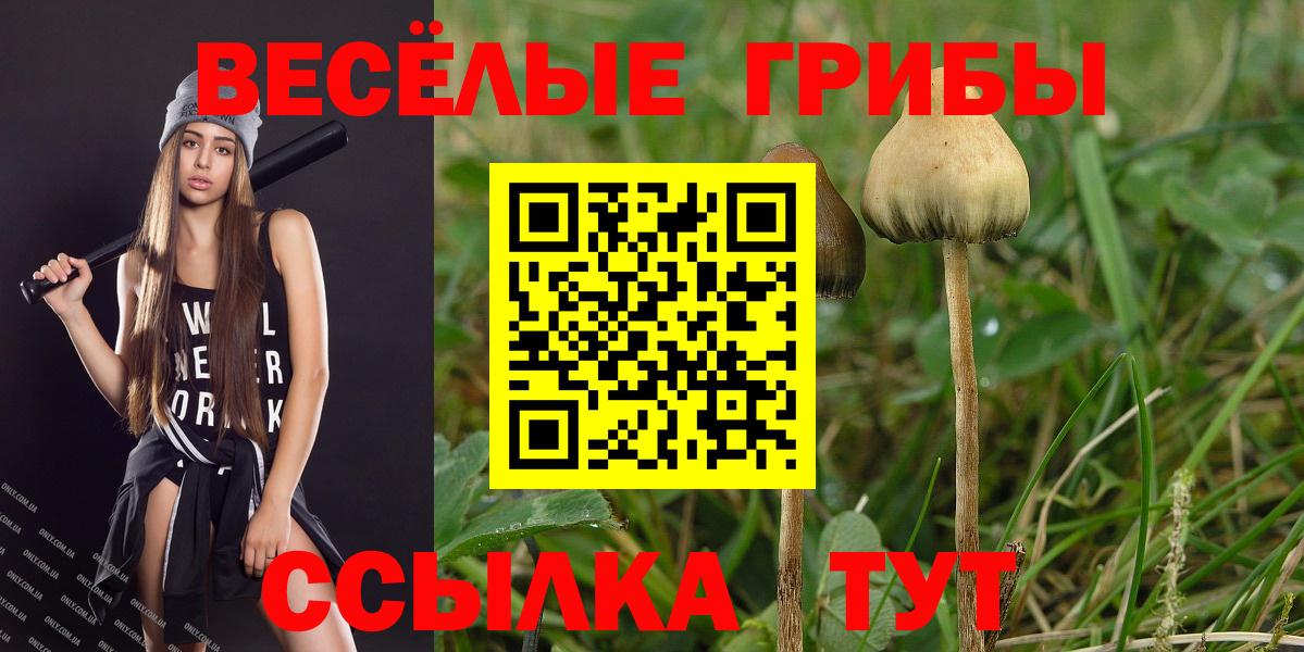Псилоцибиновые грибы мухоморы Ишим